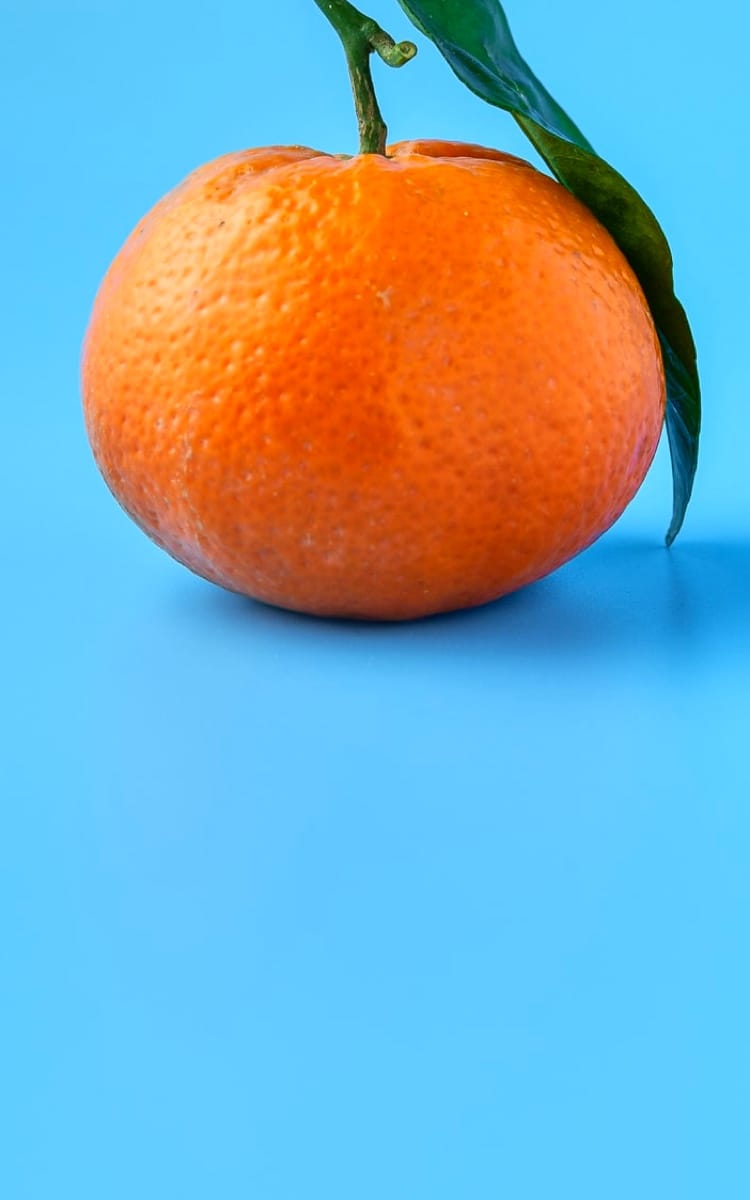 orange fruit